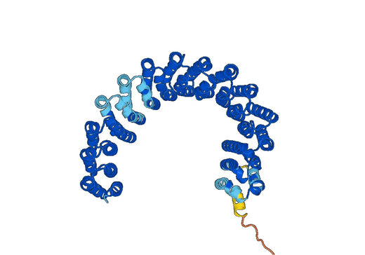 Serine-threonine-protein phosphatase 2A 65 kDa regulatory subunit A alpha isoform(Ppp2r1a)