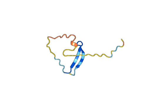 SERPINB4, N-GST, recombinant protein