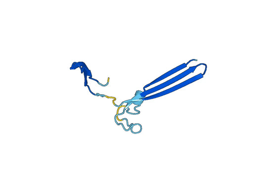 SERPING1, N-His, recombinant protein