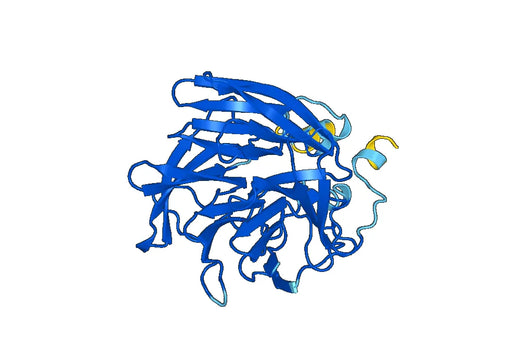 Serum paraoxonase-lactonase 3(PON3)
