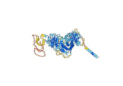 Sevirumab Biosimilar - Anti-HCMV mAb - Research Grade
