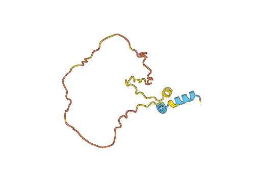 SGPP1, N-His, recombinant protein