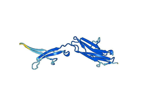 SIGLEC2 recombinant protein