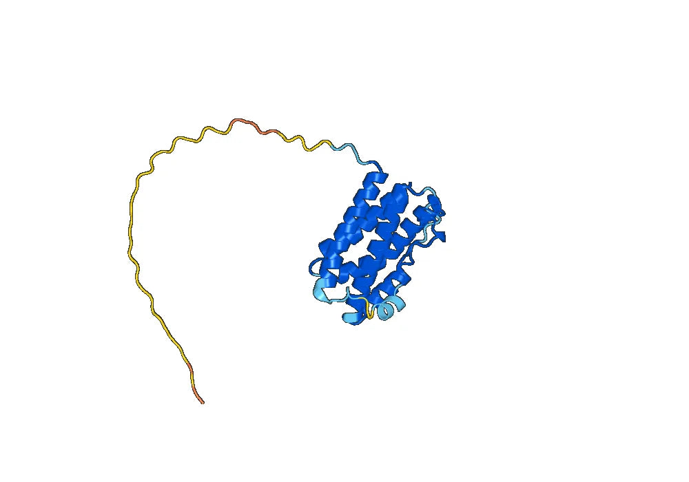 Siltuximab Biosimilar - Anti-IL6 mAb - Research Grade