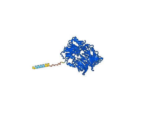 Simlukafusp Alfa ELISA Kit
