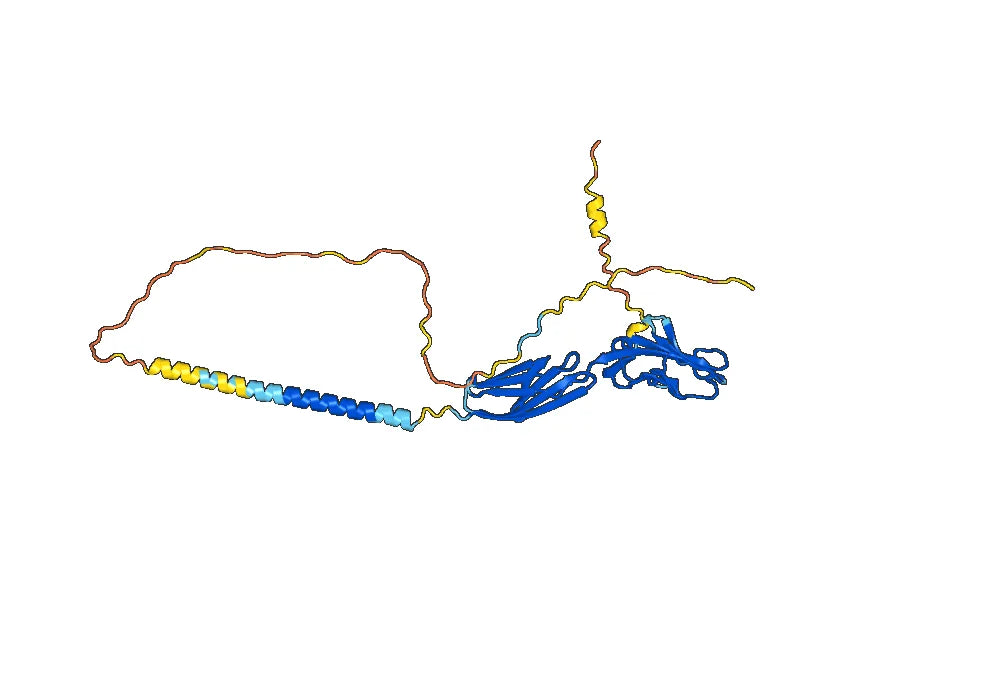 Siplizumab Biosimilar - Anti-CD2, LFA-2 mAb - Research Grade