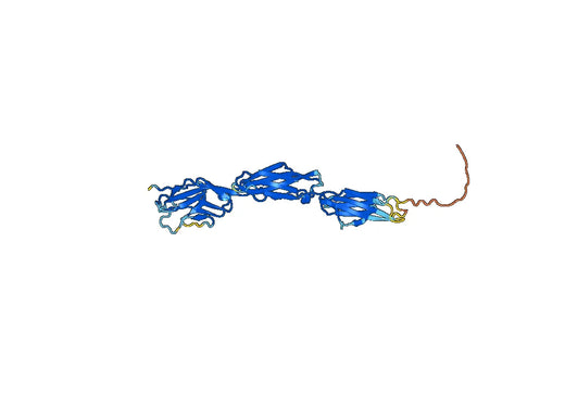 SIRP alpha mouse recombinant protein (Fc-Tag)