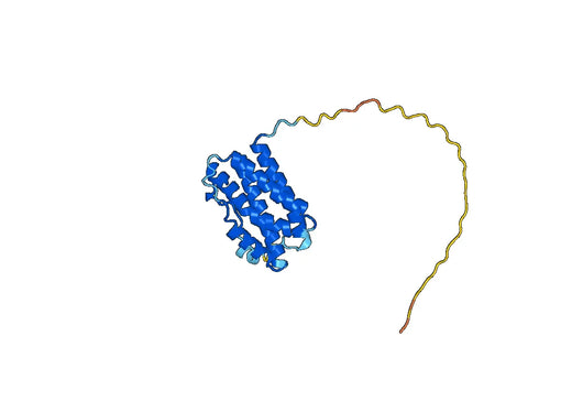 Sirukumab ELISA Kit