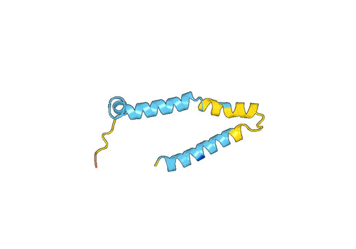 SLC2A1, N-His, recombinant protein