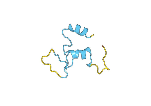 SLC6A4, N-GST, recombinant protein