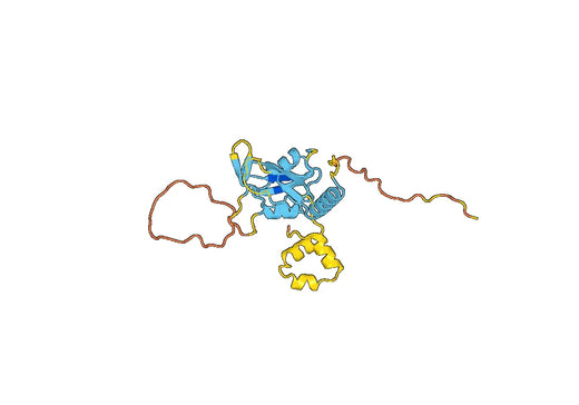 SOCS3, N-His, recombinant protein