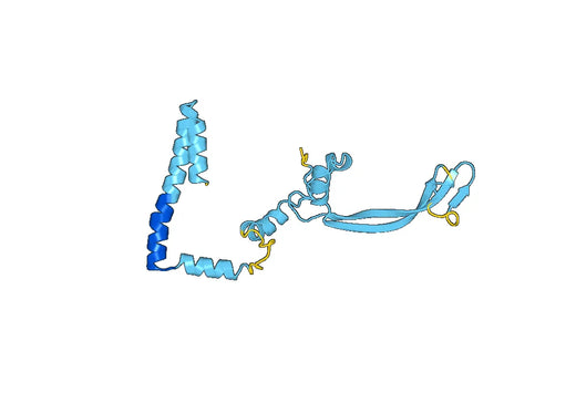 Sodium-dependent phosphate transport protein 2B(SLC34A2)
