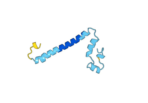 Sodium-glucose cotransporter 2(SLC5A2）