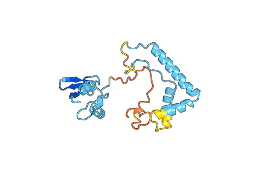 SP100, N-His, recombinant protein
