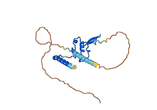 SPARCL1, N-GST, recombinant protein