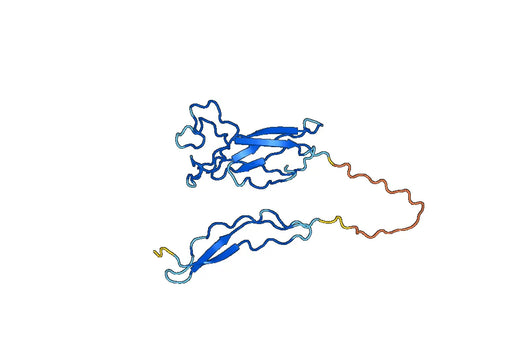 SPON2, N-GST, recombinant protein