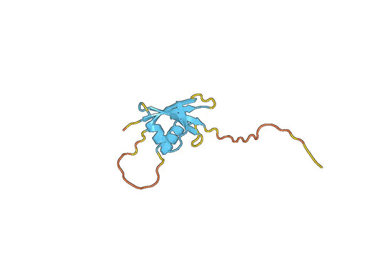 SQSTM1, N-His, recombinant protein