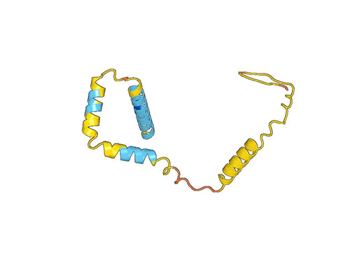 SST, N-His, recombinant protein