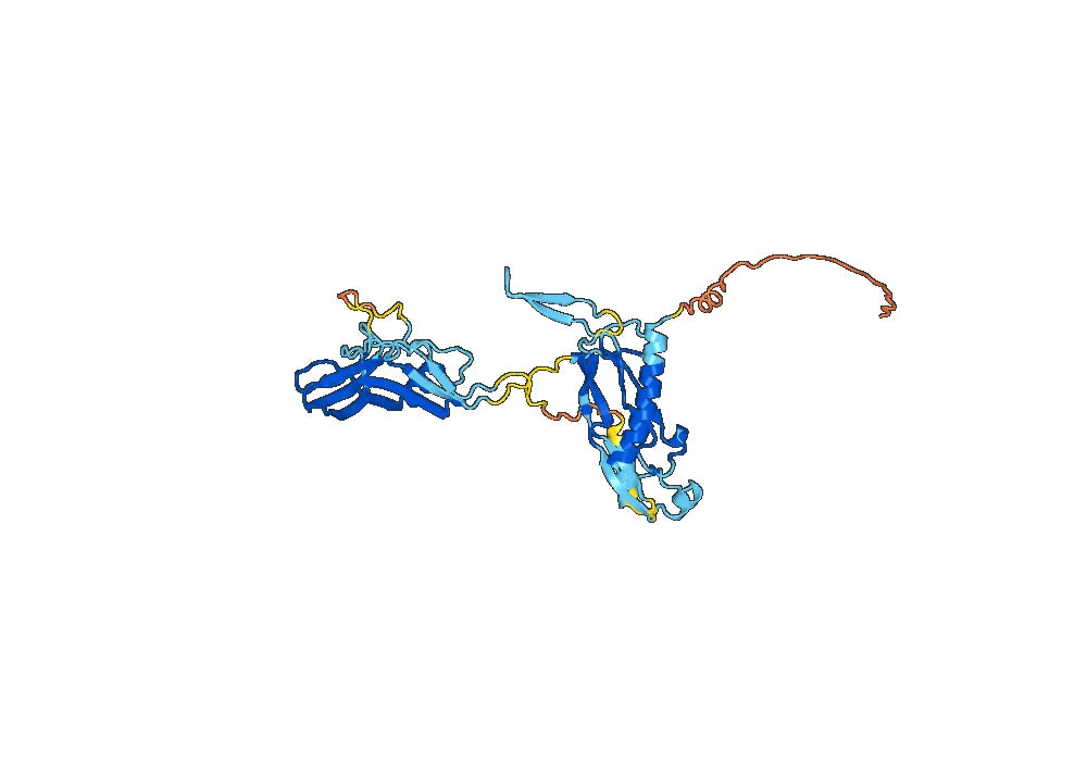 Stamulumab Biosimilar - Anti-MSTN, GDF-8 mAb - Research Grade