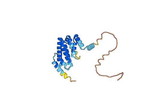 Stanniocalcin 1