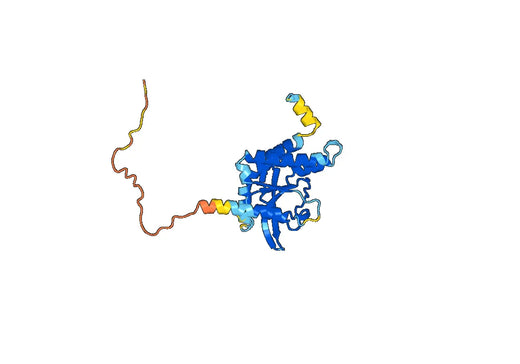 Stimulator of interferon genes protein(TMEM173)