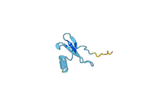 Stromal cell-derived factor 1(CXCL12)