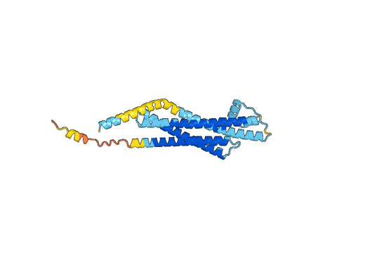 STX1A, N-His, recombinant protein