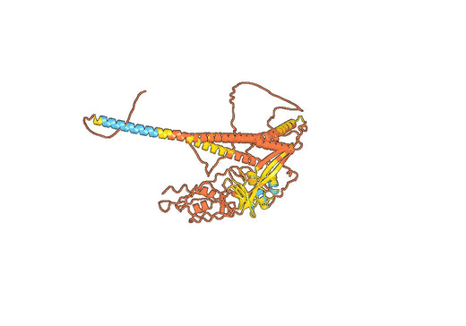 Suptavumab ELISA Kit