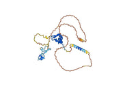 Suvemcitug Biosimilar - Anti-Vascular endothelial growth factor A mAb - Research Grade