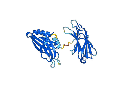 SYT1, N-His, recombinant protein