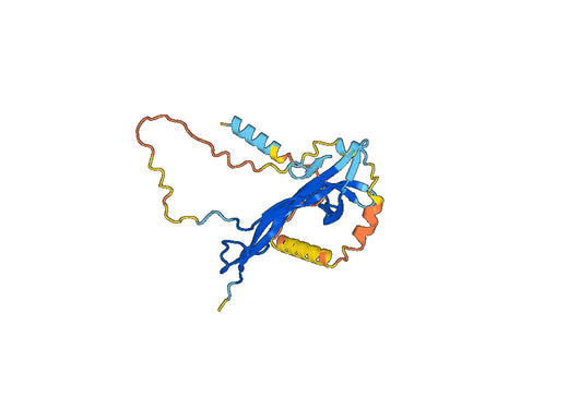 Tanezumab ELISA Kit