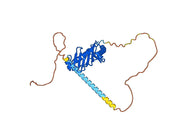 TBP, N-His, recombinant protein
