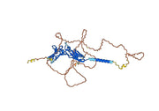 Temtokibart Biosimilar - Anti-CRF2-9 mAb - Research Grade