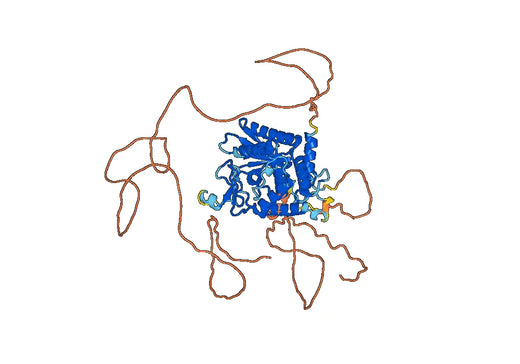 Terminal nucleotidyltransferase 4B(Tent4b) Mouse