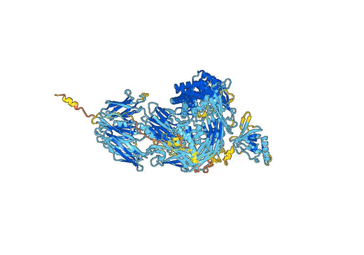 Tesidolumab ELISA Kit