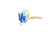 Tezepelumab Biosimilar - Anti-TSLP mAb - Research Grade