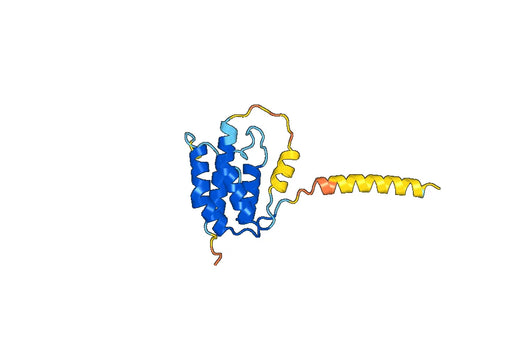 Tezepelumab ELISA Kit