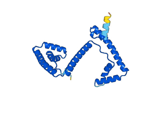 TFAM, N-GST, recombinant protein