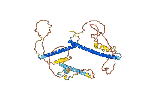 TFEB Protein, N-His, recombinant protein