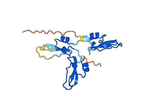 TFPI2, N-His, recombinant protein