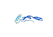TGFB1 recombinant protein