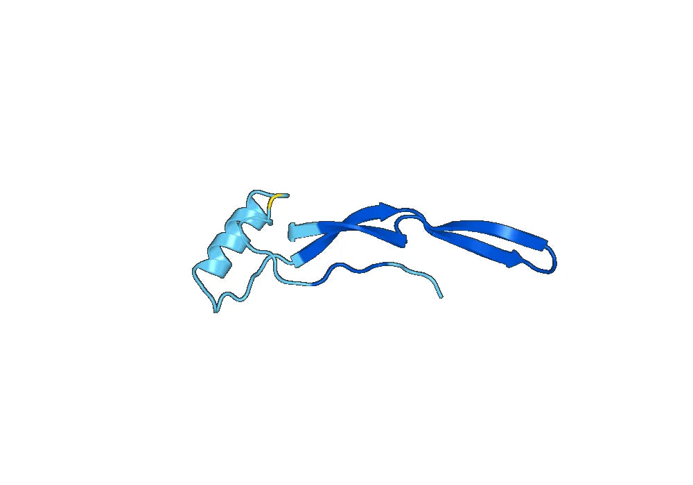 TGFB1 recombinant protein