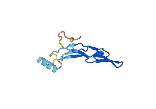 TGFB2 recombinant protein