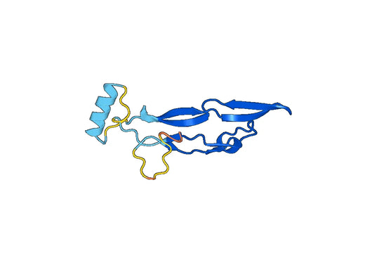 TGFB3, N-His, recombinant protein