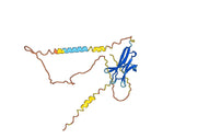 Tifcemalimab Biosimilar - Anti-BTLA mAb - Research Grade