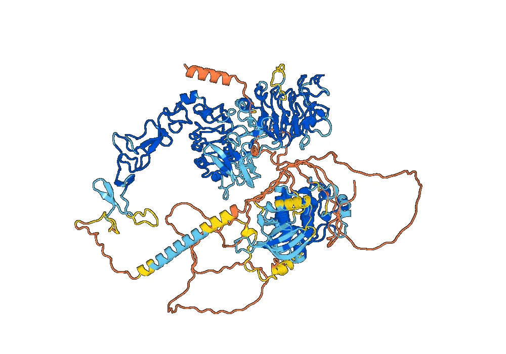 Timigutuzumab Biosimilar - Anti-ERBB2, EGFR2, CD340 mAb - Research Grade