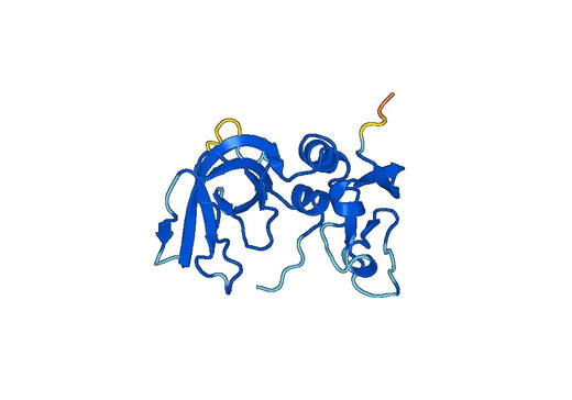 TIMP1, N-His, recombinant protein
