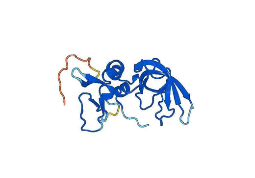 TIMP3, N-His, recombinant protein