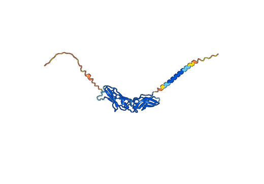 Tisotumab ELISA Kit
