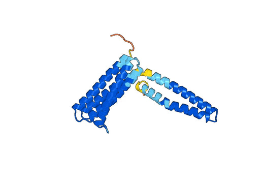 TLN1, N-His, recombinant protein